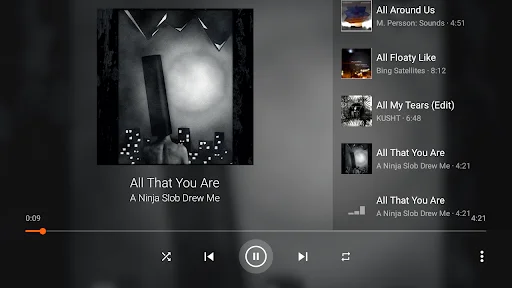 VLC for Android ডাউনলোড করুন – সেরা ফ্রি মিডিয়া প্লেয়ার - Screenshot 30