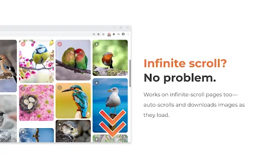 One-click Image Downloader – Grabit ডাউনলোড করুন – সেরা ইমেজ ডাউনলোডার - Screenshot 5