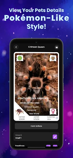 Arachnifiles: Pet Tracker ডাউনলোড করুন – মাকড়সা ও সরীসৃপ যত্ন নেওয়ার সহজ উপায় - Screenshot 4