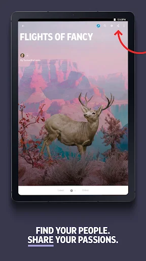 Flipboard ডাউনলোড করুন – আপনার প্রিয় খবরের ডিজিটাল ম্যাগাজিন - Screenshot 15