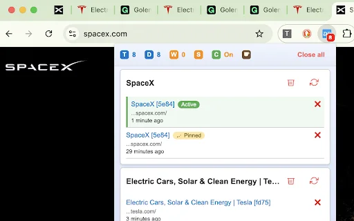 Duplicate Tab Detector ডাউনলোড করুন – ব্রাউজার ট্যাব ক্লিনআপ টুল - Screenshot 1