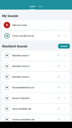 Blackbird Sounds ডাউনলোড করুন – প্রকৃতির সুরের সেরা অভিজ্ঞতা - Screenshot 7
