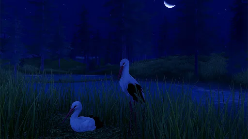 The White Stork ডাউনলোড করুন – সেরা বার্ড সিমুলেটর গেম - Screenshot 16
