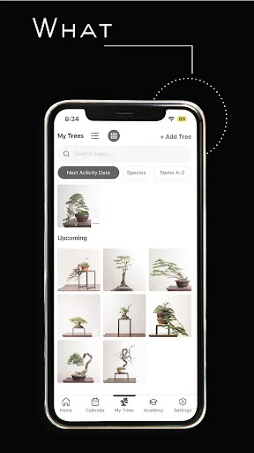 Mirai Mobile ডাউনলোড করুন – আপনার বনসাইয়ের সেরা গাইড - Screenshot 15