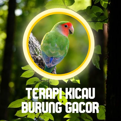 Terapi Kicau Burung Lengkap ডাউনলোড করুন – সেরা বার্ড থেরাপি অ্যাপ