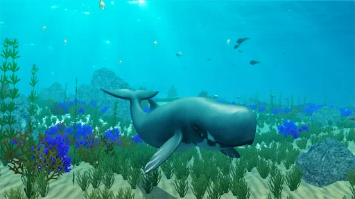 The Sperm Whale ডাউনলোড করুন – সেরা সমুদ্রের অ্যাডভেঞ্চার গেম - Screenshot 6