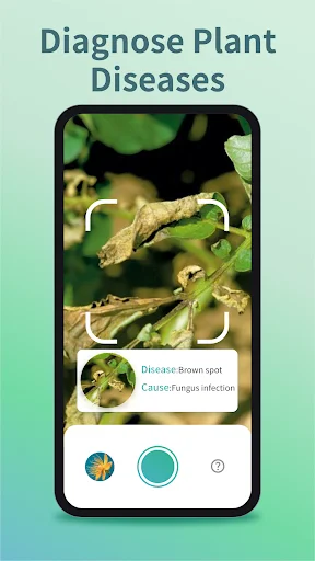Plant Identifier & Care ডাউনলোড করুন – সেরা প্ল্যান্ট ডাক্তার - Screenshot 10