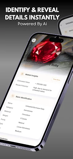 Jewelry Identifier ডাউনলোড করুন – সেরা রত্ন ও গয়না শনাক্তকারী অ্যাপ - Screenshot 2