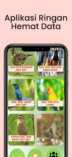 Terapi Kicau Burung Lengkap ডাউনলোড করুন – সেরা বার্ড থেরাপি অ্যাপ - Screenshot 2