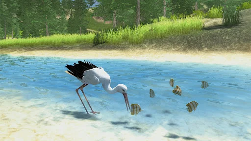 The White Stork ডাউনলোড করুন – সেরা বার্ড সিমুলেটর গেম - Screenshot 3
