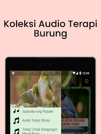 Terapi Kicau Burung Lengkap ডাউনলোড করুন – সেরা বার্ড থেরাপি অ্যাপ - Screenshot 18