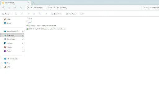 Baixar NFSe ডাউনলোড করুন – NFSe XML এবং PDF স্বয়ংক্রিয়ভাবে ডাউনলোড - Screenshot 4