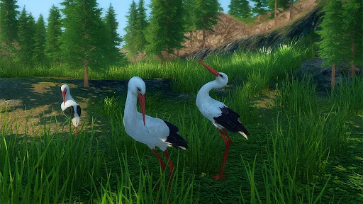The White Stork ডাউনলোড করুন – সেরা বার্ড সিমুলেটর গেম - Screenshot 2