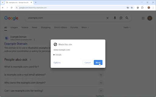 uBlacklist ডাউনলোড করুন – গুগল সার্চ থেকে অবাঞ্ছিত সাইট ব্লক করুন - Screenshot 2