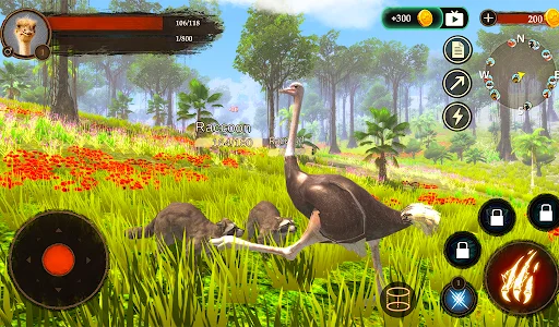 The Ostrich ডাউনলোড করুন – অনন্য অ্যানিমেল সিমুলেশন গেম - Screenshot 9
