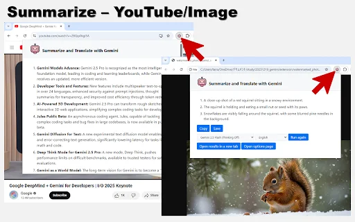 Summarize and Translate with Gemini ডাউনলোড করুন – সেরা AI টুল - Screenshot 2