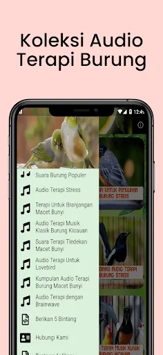 Terapi Kicau Burung Lengkap ডাউনলোড করুন – সেরা বার্ড থেরাপি অ্যাপ - Screenshot 6
