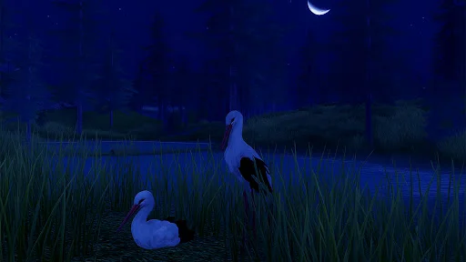 The White Stork ডাউনলোড করুন – সেরা বার্ড সিমুলেটর গেম - Screenshot 24