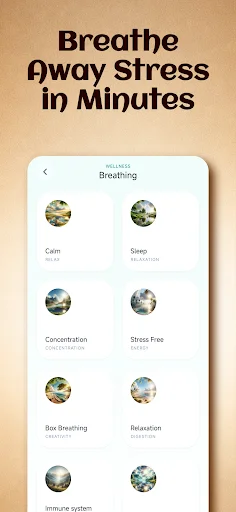 Healing Sounds & Sound Therapy ডাউনলোড করুন – সেরা মেডিটেশন মিউজিক - Screenshot 2
